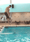al3a9ha